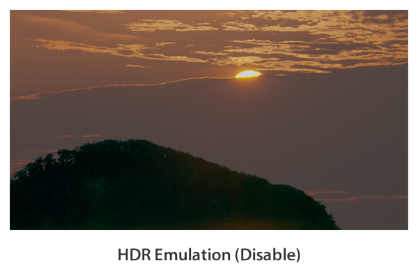 HDR Emulation